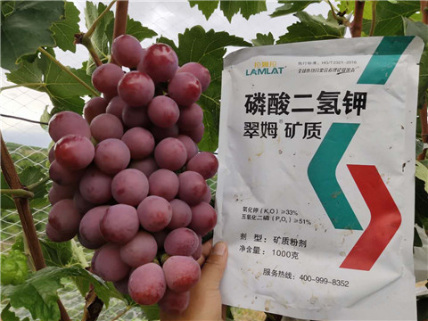 磷酸二氫鉀，拉姆拉，翠姆