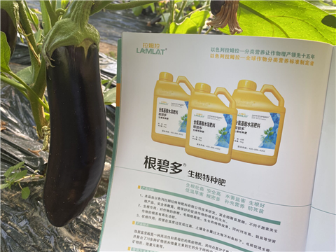 水溶肥，拉姆拉，翠姆