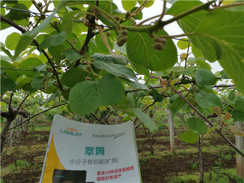 小分子有機碳，拉姆拉，翠姆
