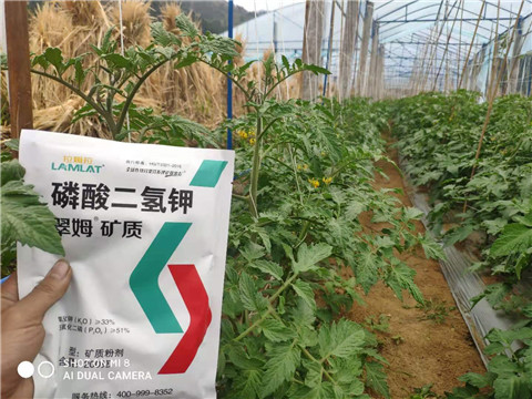 磷酸二氫鉀，拉姆拉，翠姆