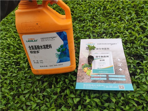 水溶肥，拉姆拉，翠姆