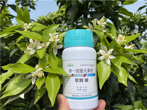葉面肥，拉姆拉，翠姆