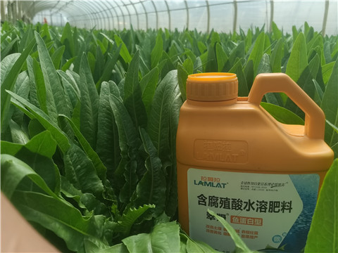 沖施肥，拉姆拉，翠姆