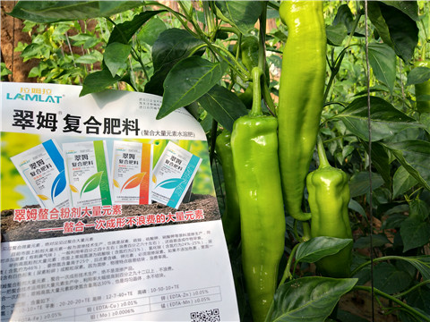 辣椒，拉姆拉，翠姆