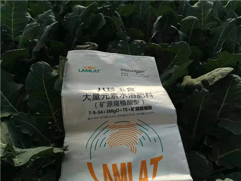 大量元素水溶肥，拉姆拉，翠姆