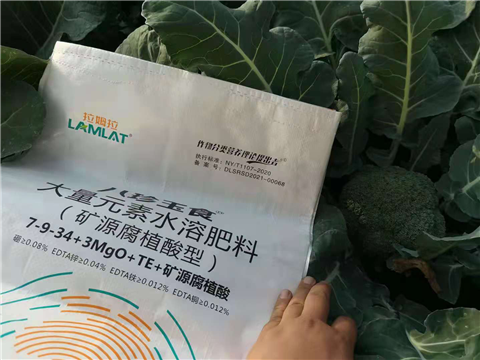 大量元素水溶肥，拉姆拉，翠姆