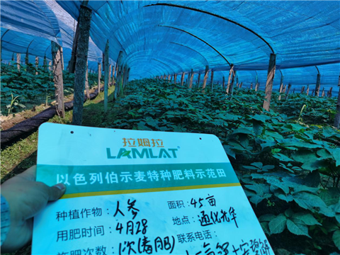 水溶肥，拉姆拉，翠姆