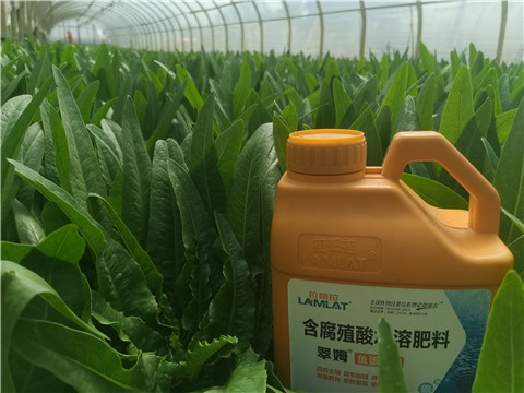 水溶肥，翠姆，拉姆拉