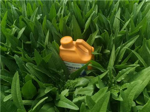 水溶肥，翠姆，拉姆拉