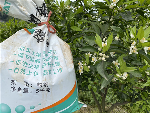 水溶肥，翠姆，拉姆拉