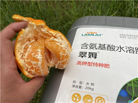 水溶肥，翠姆，拉姆拉