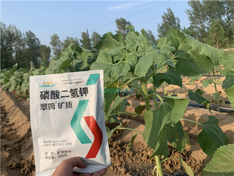 水溶肥，翠姆，拉姆拉