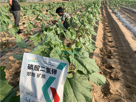 水溶肥，翠姆，拉姆拉