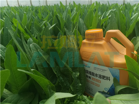 水溶肥，翠姆，拉姆拉
