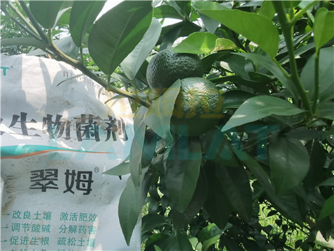 微生物菌劑，翠姆，拉姆拉