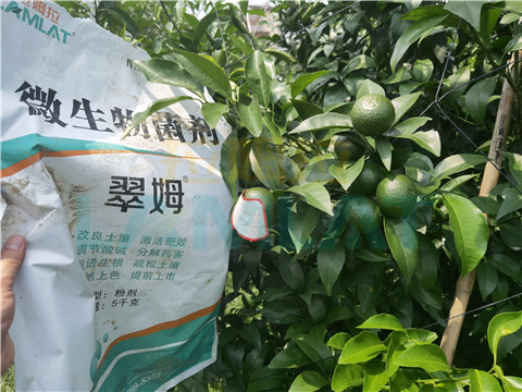 微生物菌劑，翠姆，拉姆拉