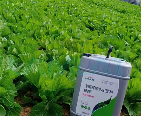 水溶肥，翠姆，拉姆拉