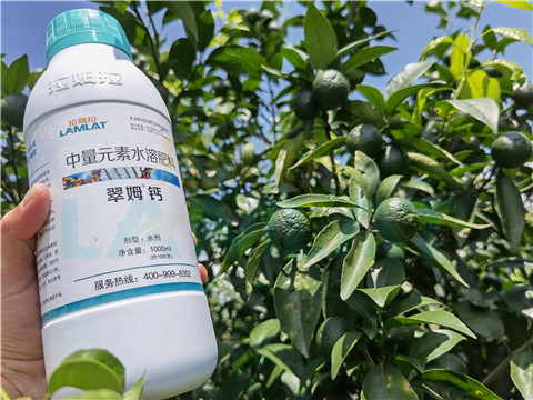 水溶肥，拉姆拉，翠姆