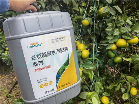 水溶肥，拉姆拉，翠姆