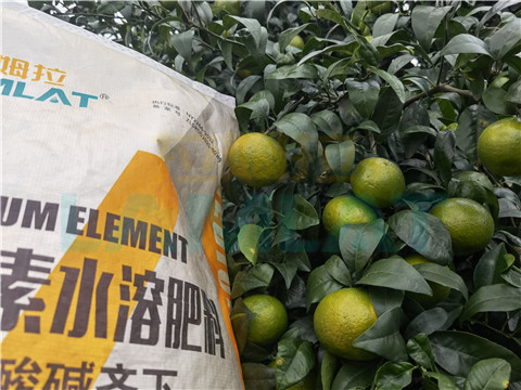 水溶肥，拉姆拉，翠姆