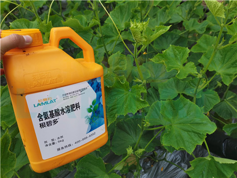 水溶肥，拉姆拉，翠姆