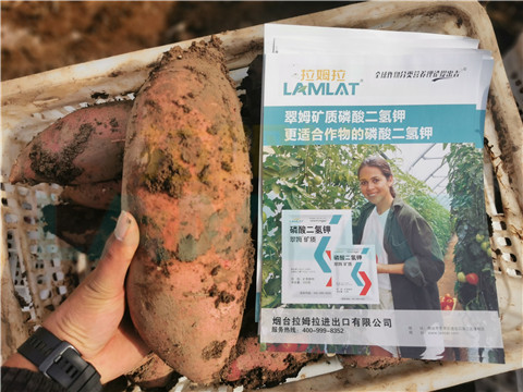 水溶肥，拉姆拉，翠姆