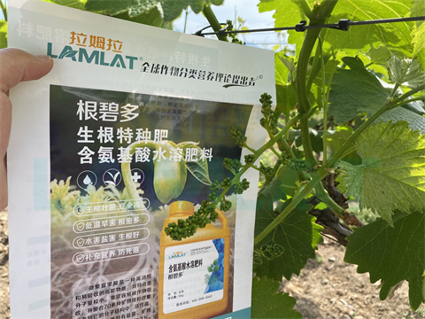 水溶肥，拉姆拉，翠姆