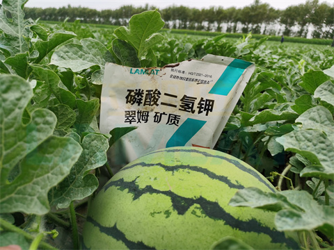 水溶肥，拉姆拉，翠姆
