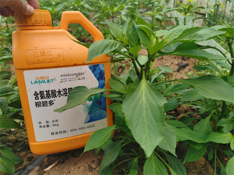 水溶肥，翠姆，拉姆拉