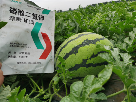 水溶肥，翠姆，拉姆拉