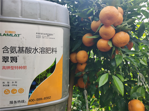水溶肥廠(chǎng)家,翠姆,拉姆拉水溶肥