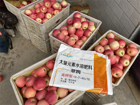水溶肥,翠姆,蘋(píng)果種植