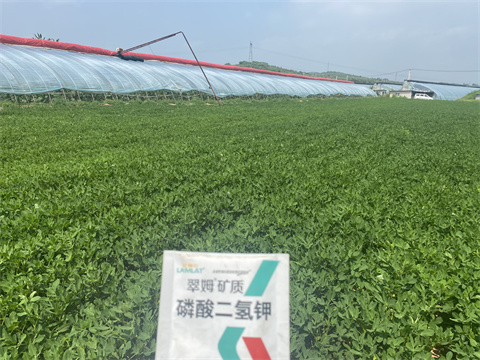 水溶肥,翠姆,拉姆拉